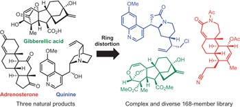 A ring-distortion strategy to construct stereochemically complex and structurally diverse compounds from natural products