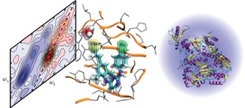 Snapshot of the equilibrium dynamics of a drug bound to HIV-1 reverse transcriptase