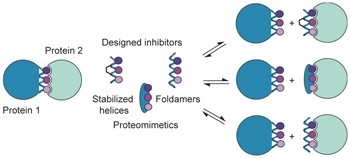 Inhibition of α-helix-mediated protein–protein interactions using designed molecules