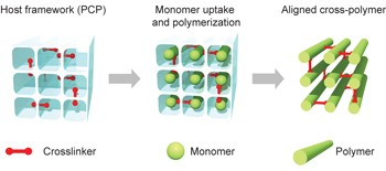 Highly ordered alignment of a vinyl polymer by host–guest cross-polymerization