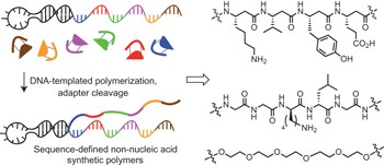 Enzyme-free translation of DNA into sequence-defined synthetic polymers structurally unrelated to nucleic acids