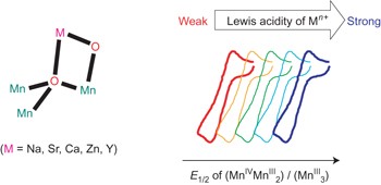 Redox-inactive metals modulate the reduction potential in heterometallic manganese–oxido clusters