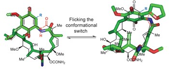 Synthesis of 19-substituted geldanamycins with altered conformations and their binding to heat shock protein Hsp90