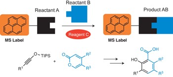 Label-assisted mass spectrometry for the acceleration of reaction discovery and optimization