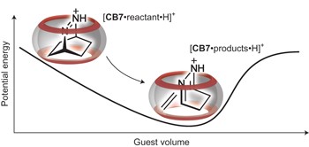 Chemistry inside molecular containers in the gas phase