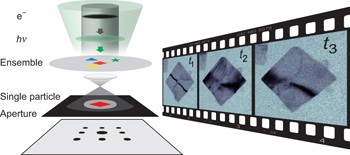 Single-nanoparticle phase transitions visualized by four-dimensional electron microscopy