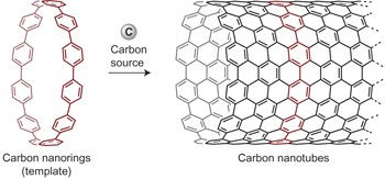 Initiation of carbon nanotube growth by well-defined carbon nanorings
