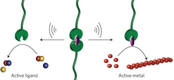 Activating catalysts with mechanical force