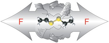 The Janus-faced role of external forces in mechanochemical disulfide bond cleavage