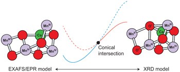 Entangled quantum electronic wavefunctions of the Mn<sub>4</sub>CaO<sub>5</sub> cluster in photosystem II