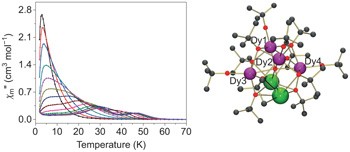 Magnetic relaxation pathways in lanthanide single-molecule magnets