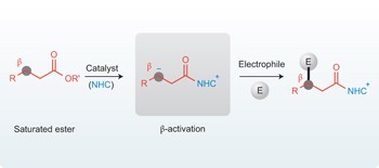 β-Carbon activation of saturated carboxylic esters through <i>N</i>-heterocyclic carbene organocatalysis