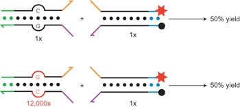 Conditionally fluorescent molecular probes for detecting single base changes in double-stranded DNA