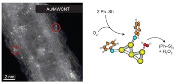 Exceptional oxidation activity with size-controlled supported gold clusters of low atomicity