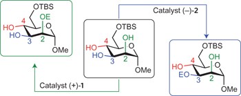Catalyst recognition of <i>cis</i>-1,2-diols enables site-selective functionalization of complex molecules