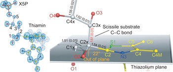 Sub-ångström-resolution crystallography reveals physical distortions that enhance reactivity of a covalent enzymatic intermediate