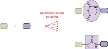 A strategy for the diversity-oriented synthesis of macrocyclic scaffolds using multidimensional coupling