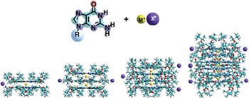 G-quadruplex self-assembly regulated by Coulombic interactions