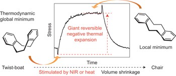 Large negative thermal expansion of a polymer driven by a submolecular conformational change