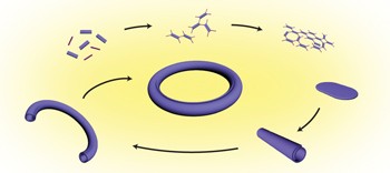 Hollow nanotubular toroidal polymer microrings