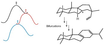 Biosynthetic consequences of multiple sequential post-transition-state bifurcations