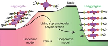 Living supramolecular polymerization realized through a biomimetic approach