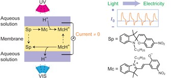 Photocurrent generation based on a light-driven proton pump in an artificial liquid membrane
