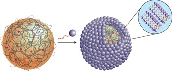Fatty acid membrane assembly on coacervate microdroplets as a step towards a hybrid protocell model