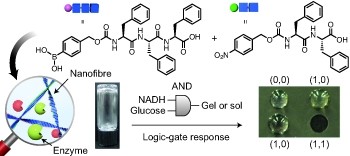 Installing logic-gate responses to a variety of biological substances in supramolecular hydrogel–enzyme hybrids