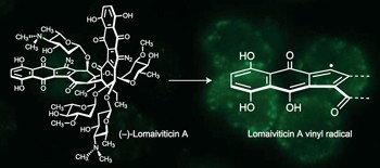 The cytotoxicity of (−)-lomaiviticin A arises from induction of double-strand breaks in DNA