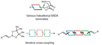 Synthesis of most polyene natural product motifs using just 12 building blocks and one coupling reaction