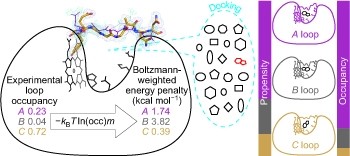 Incorporation of protein flexibility and conformational energy penalties in docking screens to improve ligand discovery