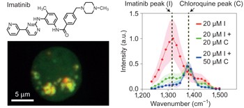 Imaging the intracellular distribution of tyrosine kinase inhibitors in living cells with quantitative hyperspectral stimulated Raman scattering