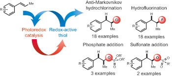 The direct anti-Markovnikov addition of mineral acids to styrenes