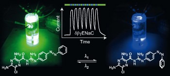 Controlling epithelial sodium channels with light using photoswitchable amilorides