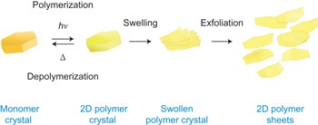 Gram-scale synthesis of two-dimensional polymer crystals and their structure analysis by X-ray diffraction