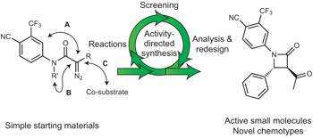Efficient discovery of bioactive scaffolds by activity-directed synthesis