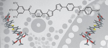 Chiral self-sorting and amplification in isotropic liquids of achiral molecules