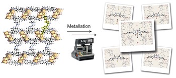 Capturing snapshots of post-synthetic metallation chemistry in metal–organic frameworks