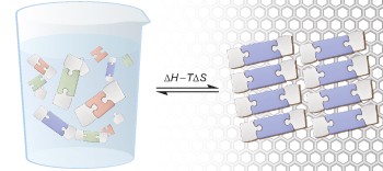 Dynamic covalent chemistry of bisimines at the solid/liquid interface monitored by scanning tunnelling microscopy