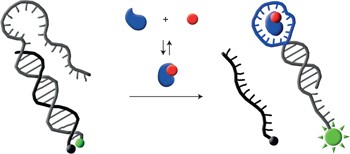 Recognition and sensing of low-epitope targets via ternary complexes with oligonucleotides and synthetic receptors