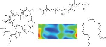 Revealing the macromolecular targets of complex natural products