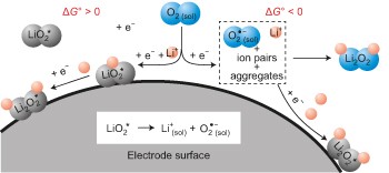 The role of LiO<sub>2</sub> solubility in O<sub>2</sub> reduction in aprotic solvents and its consequences for Li–O<sub>2</sub> batteries