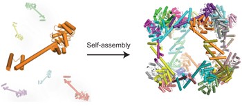 Structure of a designed protein cage that self-assembles into a highly porous cube