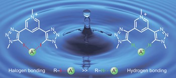 Halogen bonding in water results in enhanced anion recognition in acyclic and rotaxane hosts