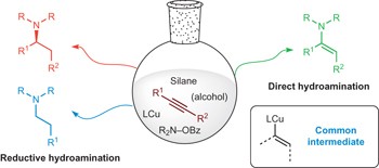 Copper-catalysed selective hydroamination reactions of alkynes