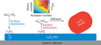 Solvating additives drive solution-mediated electrochemistry and enhance toroid growth in non-aqueous Li–O<sub>2</sub> batteries