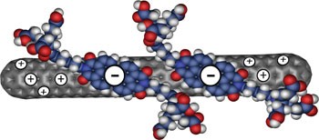 Manipulating single-wall carbon nanotubes by chemical doping and charge transfer with perylene dyes