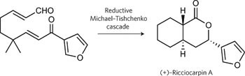 Concise synthesis of ricciocarpin A and discovery of a more potent analogue