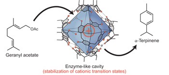 Terpene cyclization catalysed inside a self-assembled cavity